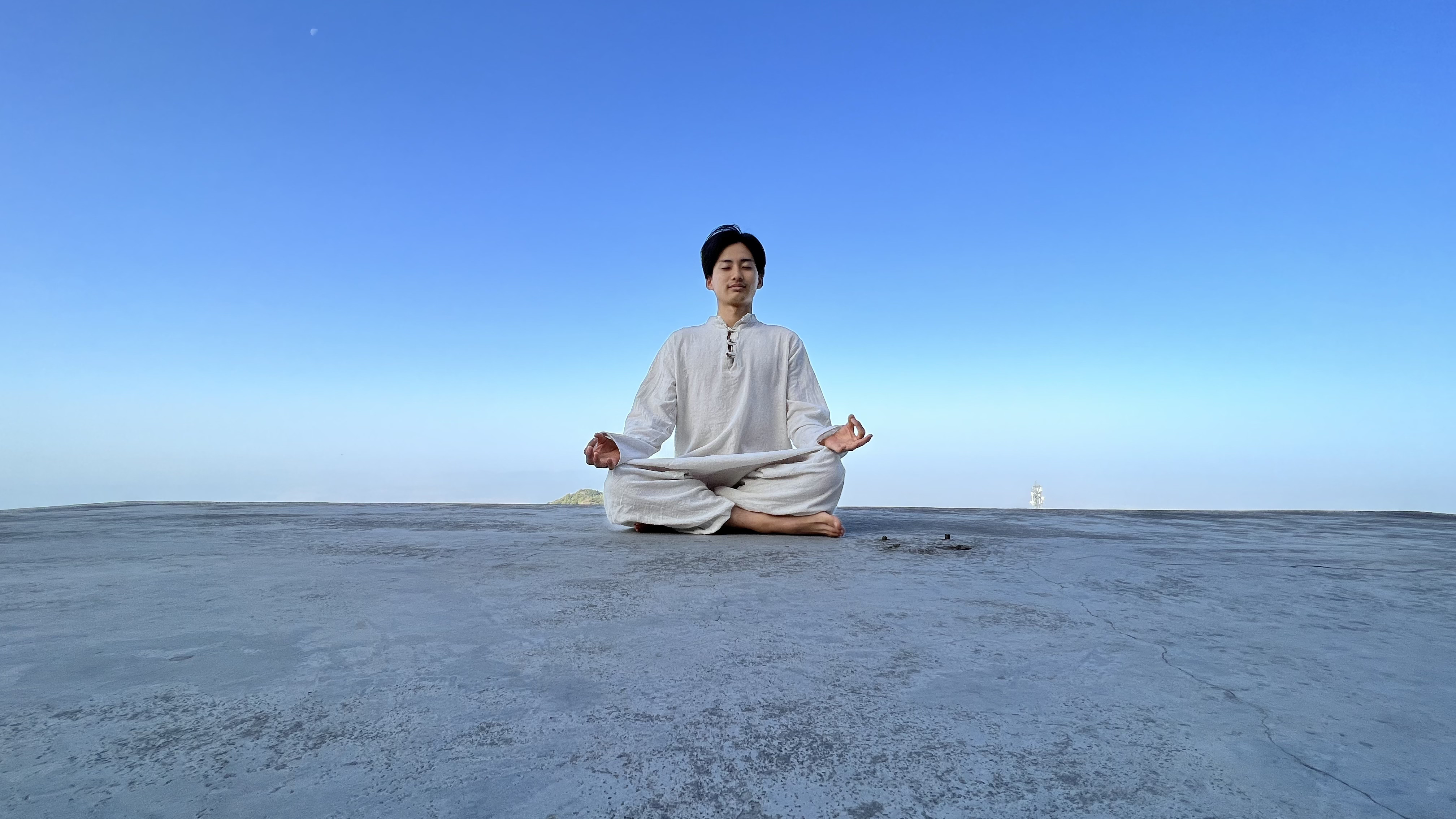 Visual example 2 of design work - wall of paintings 